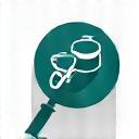 Magnifying glass icon.